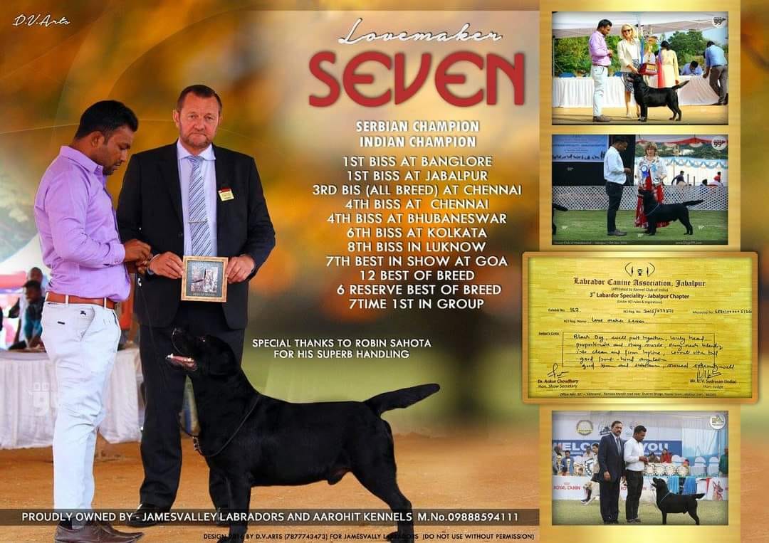 Digital Visiting Card 